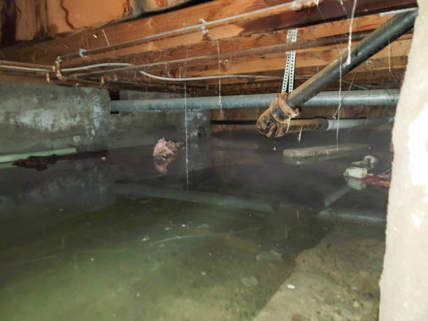 Professional Water damage restoration in Palm Valley, TX