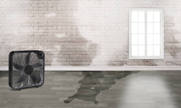 Best Residential water damage restoration  in Palm Valley, TX