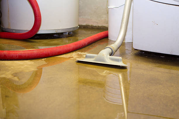Best 24-hour water damage restoration  in Palm Valley, TX