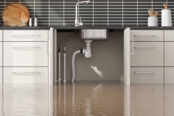 Best Flood damage cleanup  in Palm Valley, TX