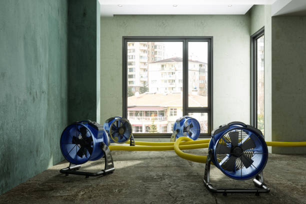 Best Water damage restoration cost  in Palm Valley, TX
